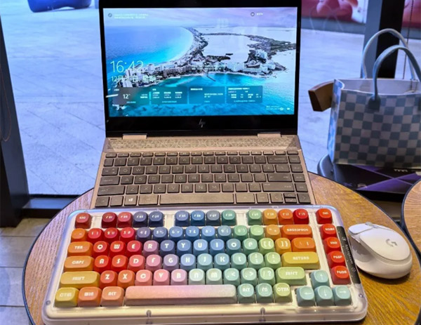 699d702700d9a.jpg
